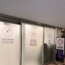 스터디필영어학원 | 세종영어학원 디스터디 아이엘츠에 다니는 후기입니다