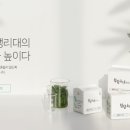 청담몰 - 강남구 | 청담몰