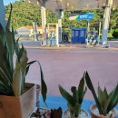 참편한 주유소 이미지