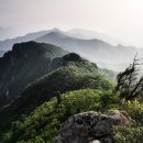 7월 29일(토) 블랙야크100대명산 노인봉과 소금강, 여름 숲의 노래 오대산 국립공원 이미지