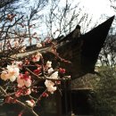 새소리 물소리 이미지