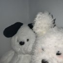 호진유통 이미지