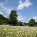 메밀꽃필무렵 이미지