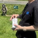 오용농장 | 1일차 :: 퀸스타운 온센스파 / Bronze Elephant Thai / Glenorchy Animal Experience 글래노키 알파카 농장