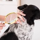 이진메디칼 이미지