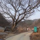 신대1리 원신대 경로당 네이버블로그