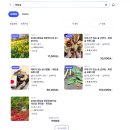 모노모텔 | 화담숲 벚꽃 아이와 함께, 예약방법 모노레일은 필수일지도