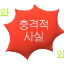 운정고양이호텔 이미지