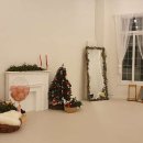 핑크멍 애견카페 애견호텔 남양주점 이미지