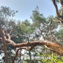 국사봉로 이미지