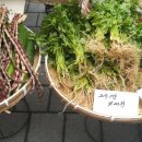 소재덕농장 이미지