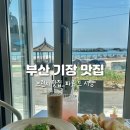 파로드시랑 이미지