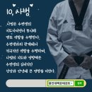 용인대백운태권도 이미지