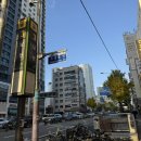 체형&채형 이미지