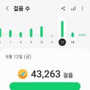 낙동강변12 이미지