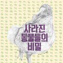 리젬 이미지