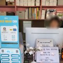 솔게스트하우스 양양서핑점 | [양양 여행]양리단길 솔게스트하우스 양양서핑점 후기 (+와이비자 야간권)