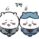 디아크산동점