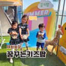 세나농장 | 평택 실내 가볼만한곳 물놀이 아이랑 농장체험 꿈꾸는 키즈팜
