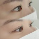 26470-01-21-314 | [속눈썹펌] 와이오브로우 마곡본점 시그니처 수분펌 비포 애프터 후기