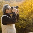 푸른노을 이미지