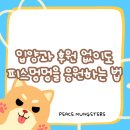 멍멍스푼 | 이벤트 참여로 피스멍멍을 응원해주세요!