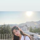모해