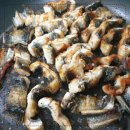 중도매인51호 이미지