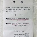 고터 꽃시장 양재꽃시장 휴가 정보드려요 이미지