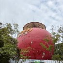 거창(광주)휴게소 | 경남 합천 비계산 등산코스 | 거창휴게소 → 도리 하산 ⛰️🌿🔥백플 인증지