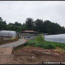 PYB행정사사무소 이미지