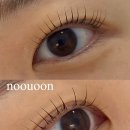 신풍카 | 디너의여왕 클립체험단 꿀팁 초보자도 쉽게 할수있는 숏폼 추천