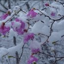 산림청 숨겨진 우리산 244산 리스트 이미지