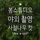 스튜디오미사나무