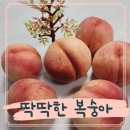 그리미농원