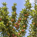 서운체육공원 (반려견센터) 이미지