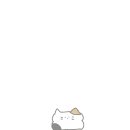 귤냥