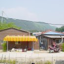 운천막국수 이미지