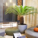 황새울로329번길 이미지