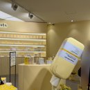 미정스킨케어 - 남동구 | 성수놀거리 팝업 6월 추천 온그리디언츠 팝업스토어 선물, 로션