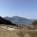 호야 달수 이미지