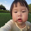 휴대폰으로 찍는 예술 사진 이미지