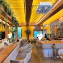 머드광장 관광안내소 이미지