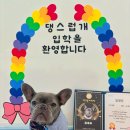 댕스럽개 이미지