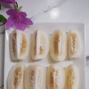 세영농장 네이버블로그