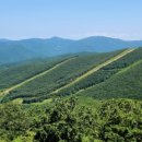 하이원 하늘아래 동물농장 이미지