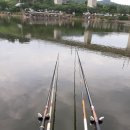 송라낚시터 | 타임캡슐 낚시이야기 6), 송라낚시터, 잉어낚시, 향어낚시, 20200613토