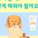 계산동물병원 이미지
