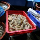 대천항수산시장 이미지