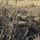 강화조아공인중개사사무소 이미지